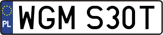 WGMS30T