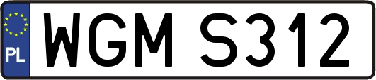WGMS312