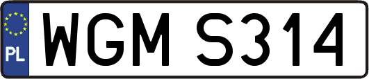WGMS314