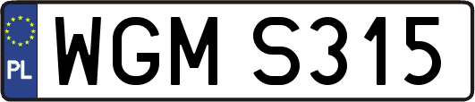 WGMS315