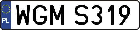 WGMS319