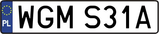 WGMS31A