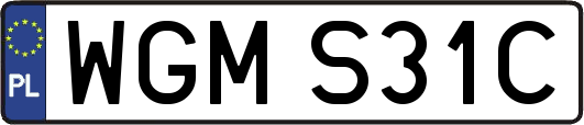 WGMS31C