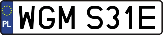 WGMS31E