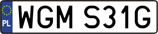 WGMS31G