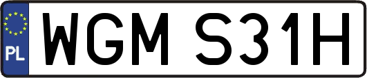 WGMS31H