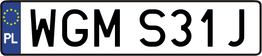 WGMS31J