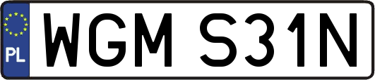 WGMS31N