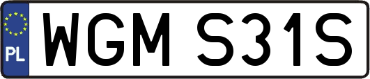 WGMS31S