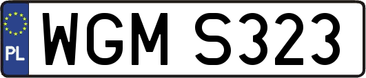 WGMS323