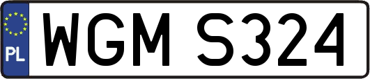 WGMS324
