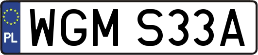 WGMS33A