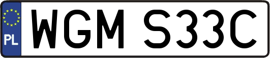 WGMS33C