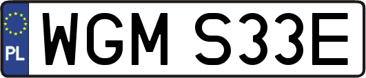 WGMS33E
