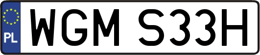 WGMS33H