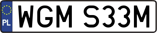 WGMS33M