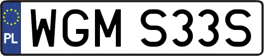 WGMS33S