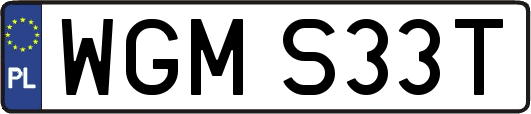 WGMS33T