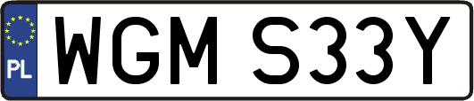WGMS33Y