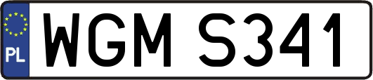 WGMS341