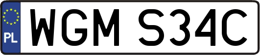 WGMS34C