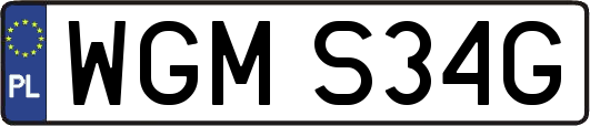WGMS34G