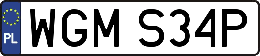 WGMS34P
