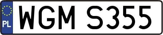 WGMS355
