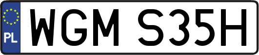 WGMS35H