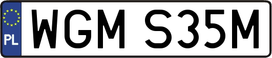 WGMS35M