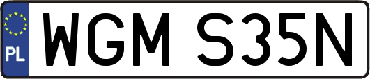WGMS35N