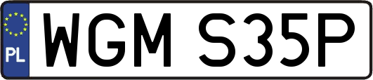 WGMS35P