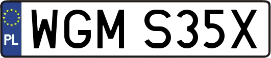 WGMS35X