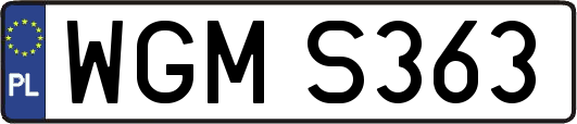 WGMS363
