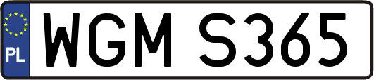 WGMS365