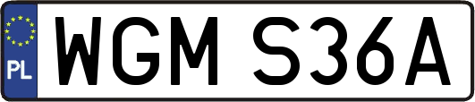 WGMS36A