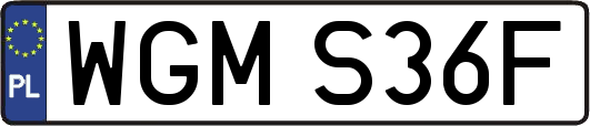 WGMS36F