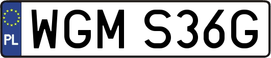 WGMS36G
