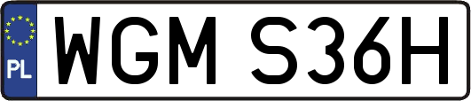 WGMS36H