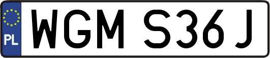 WGMS36J