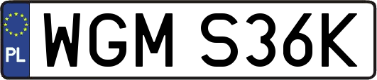 WGMS36K