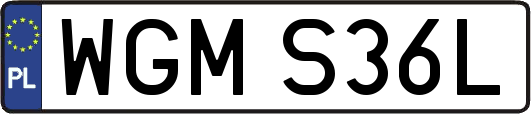 WGMS36L