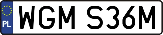 WGMS36M