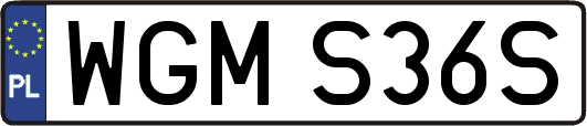 WGMS36S