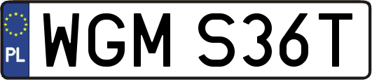 WGMS36T