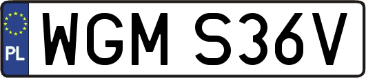 WGMS36V