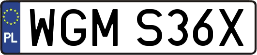 WGMS36X