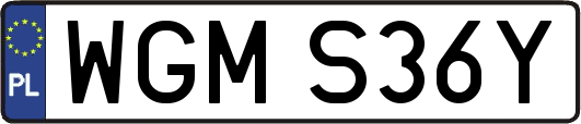 WGMS36Y