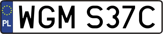 WGMS37C