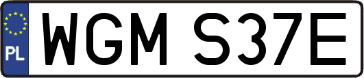 WGMS37E